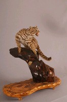 石虎藏品圖，第4張